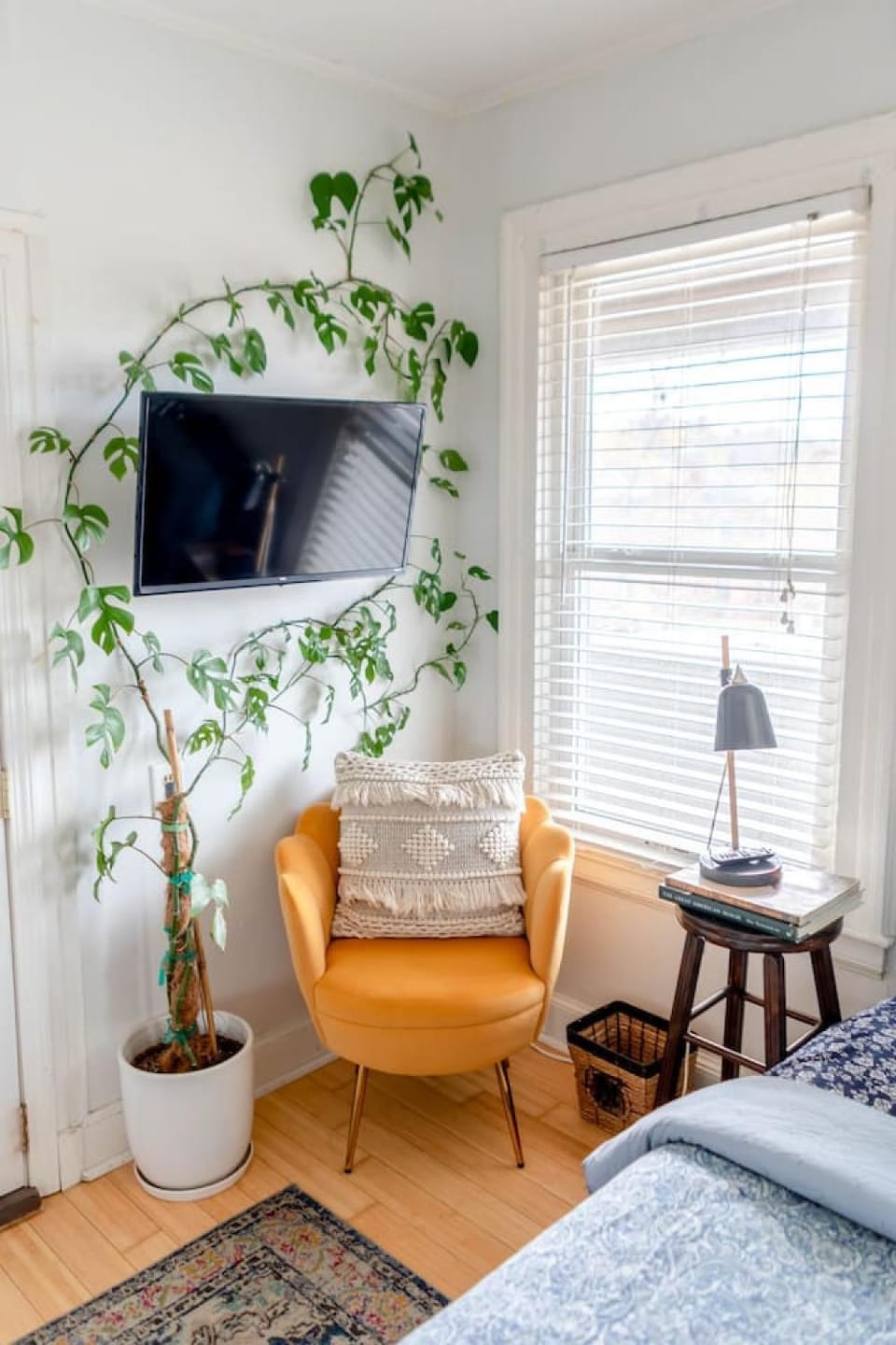 Cute Apartment in the Heart of Winooski Apartment in Burlington