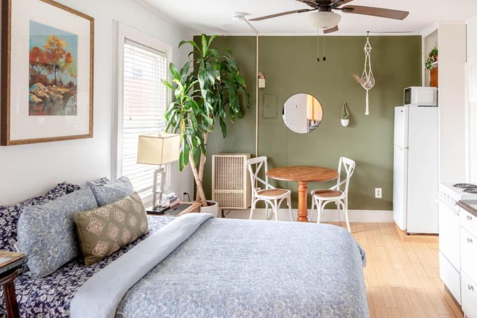 Cute Apartment in the Heart of Winooski Apartment in Burlington