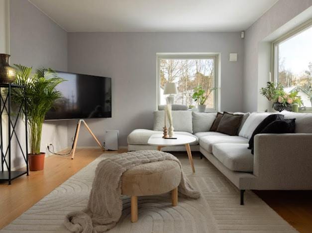 TV and multimedia, Living room