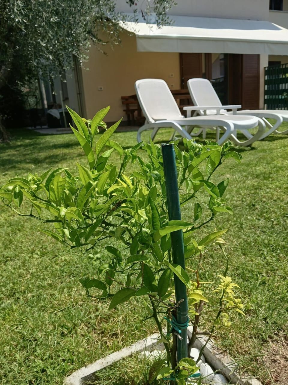 Garden, Garden view