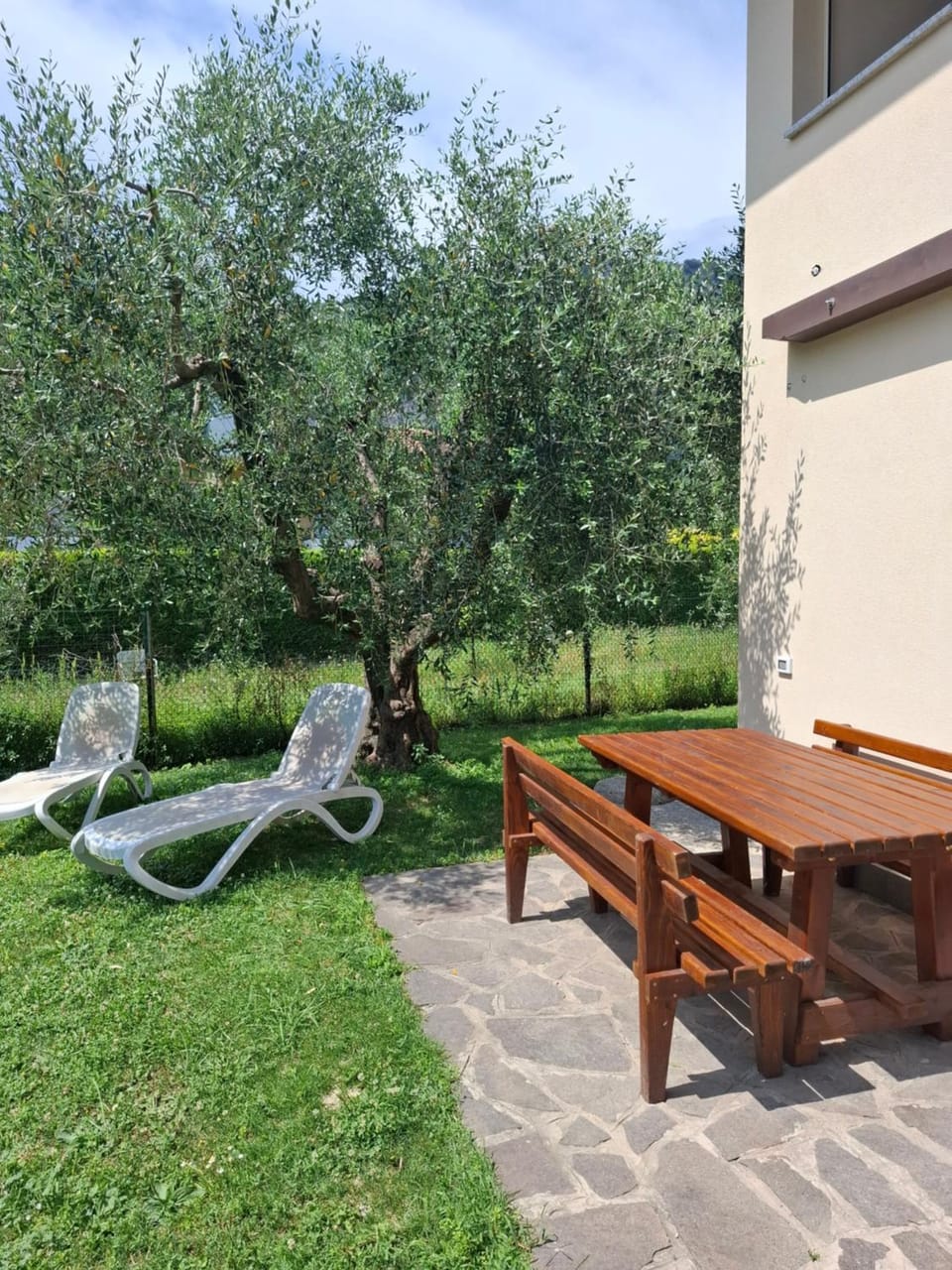Patio, Day, Natural landscape, Garden, Garden view, sunbed