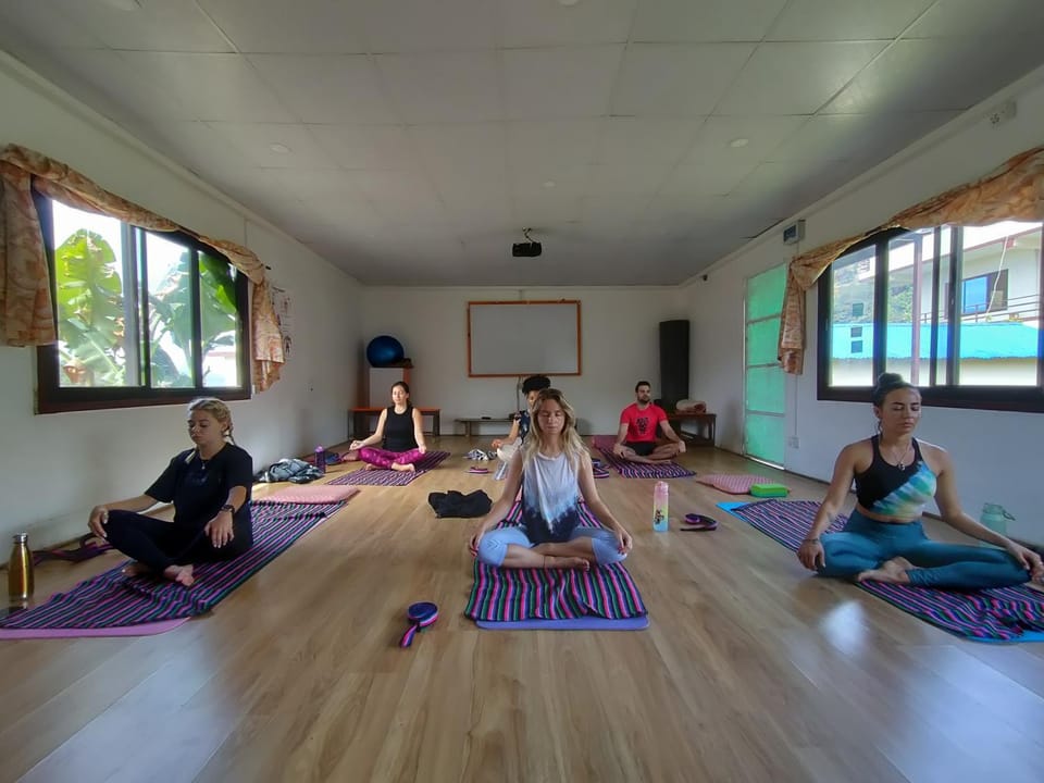 Activities, group of guests