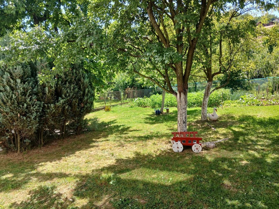 Natural landscape, Garden, View (from property/room), Garden view