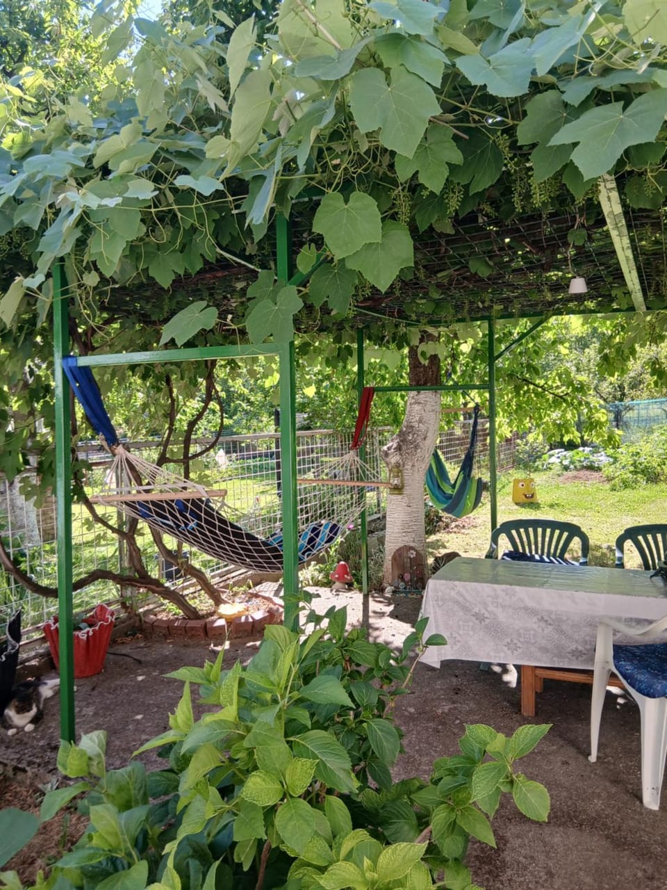 Patio, Garden, Seating area