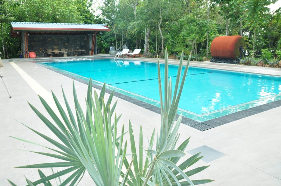 Swimming pool, Swimming pool