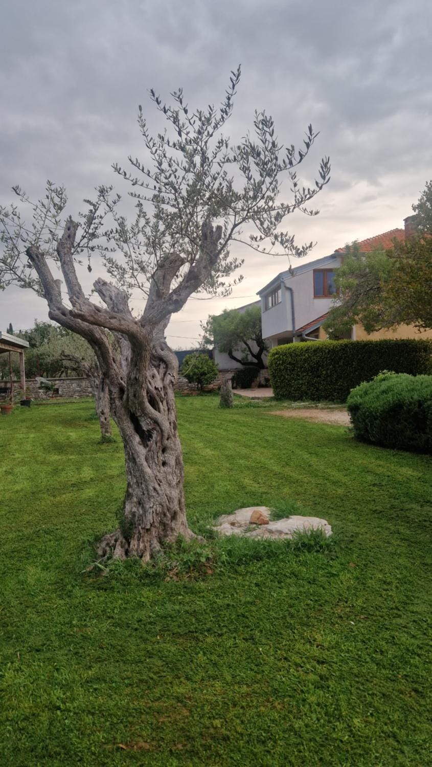 Apartmani Marino Rovinj Apartment in Rovinj