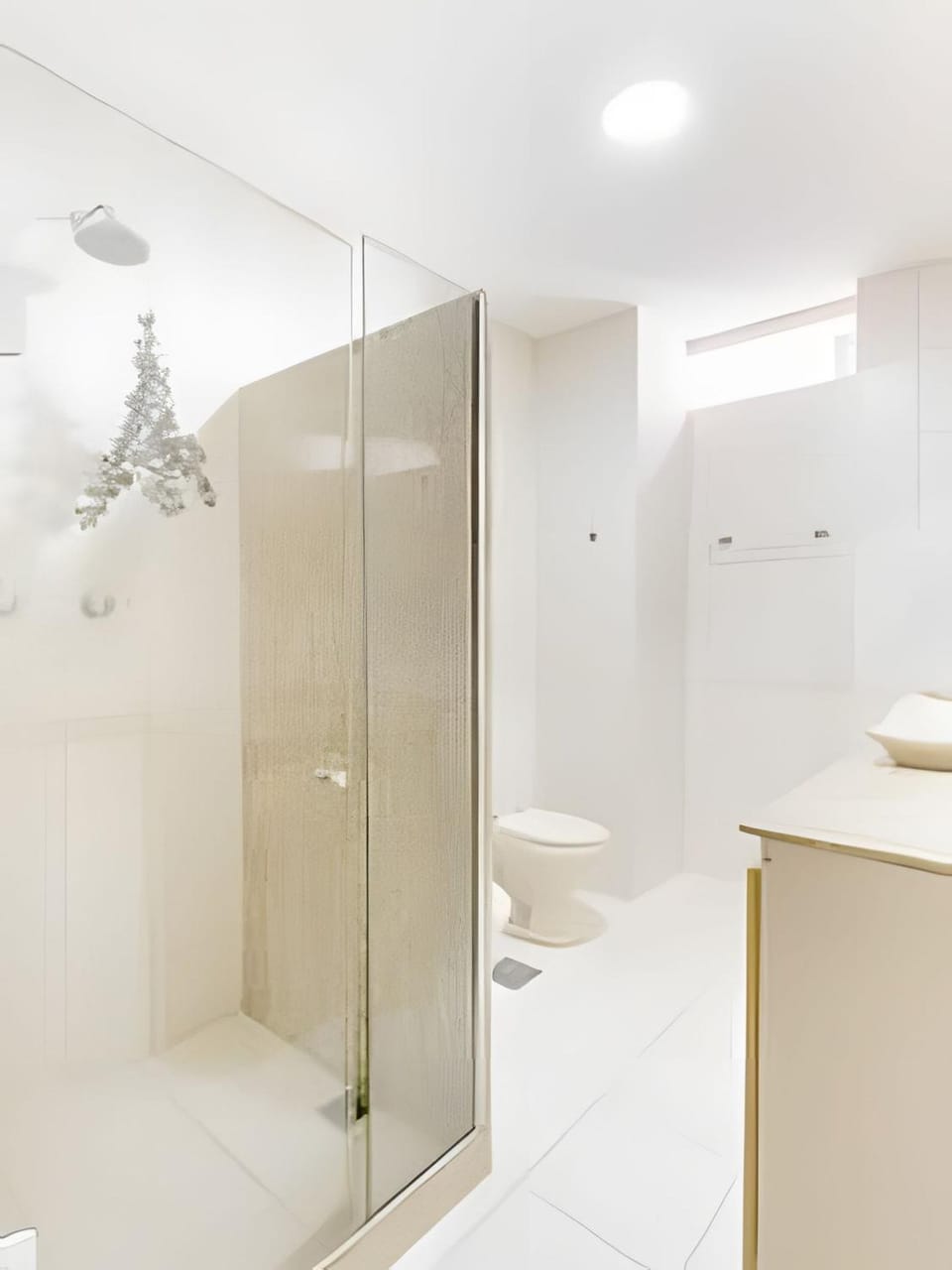 Toilet, Public Bath