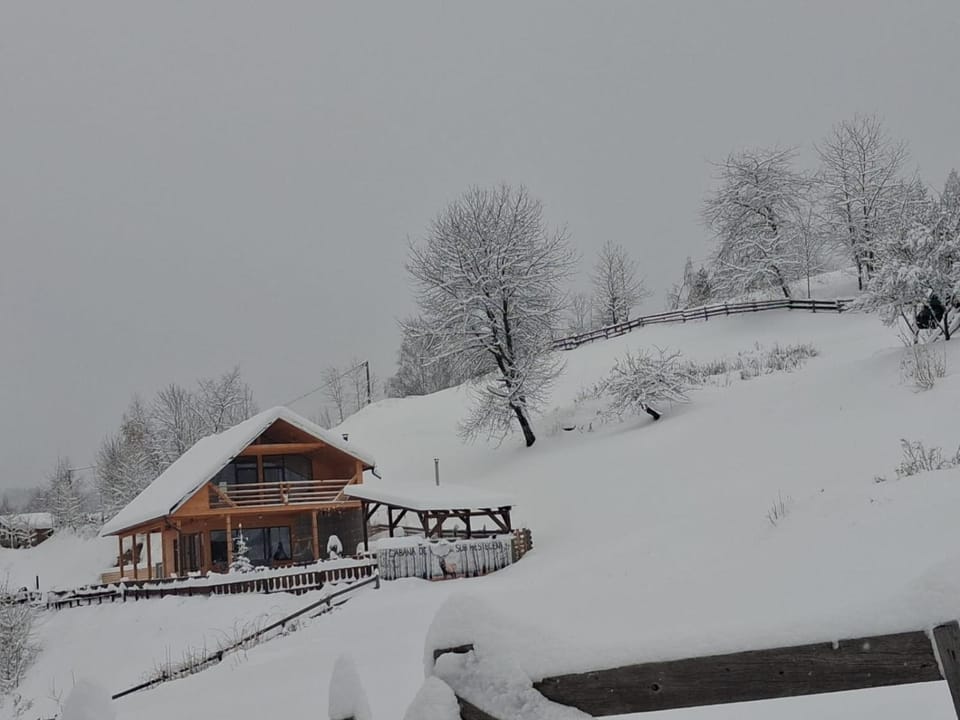 Cabana de sub mesteceni Chalet in Cluj County