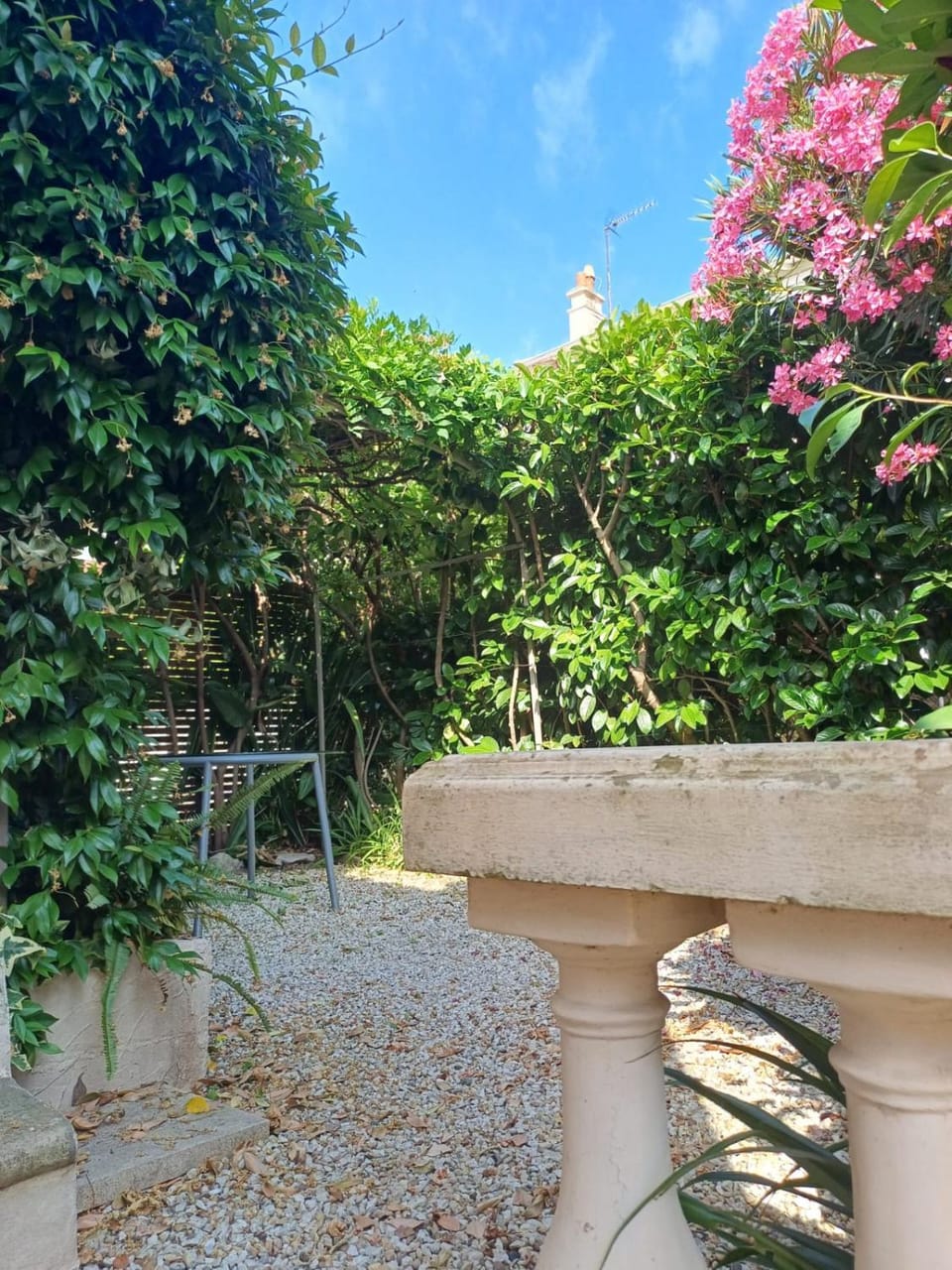 Garden, Garden view