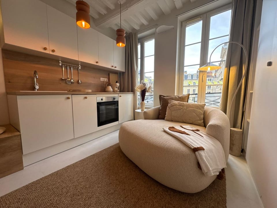 Kitchen or kitchenette, Living room, Photo of the whole room, Seating area, oven, stove