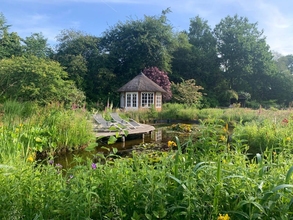 Day, Natural landscape, Garden