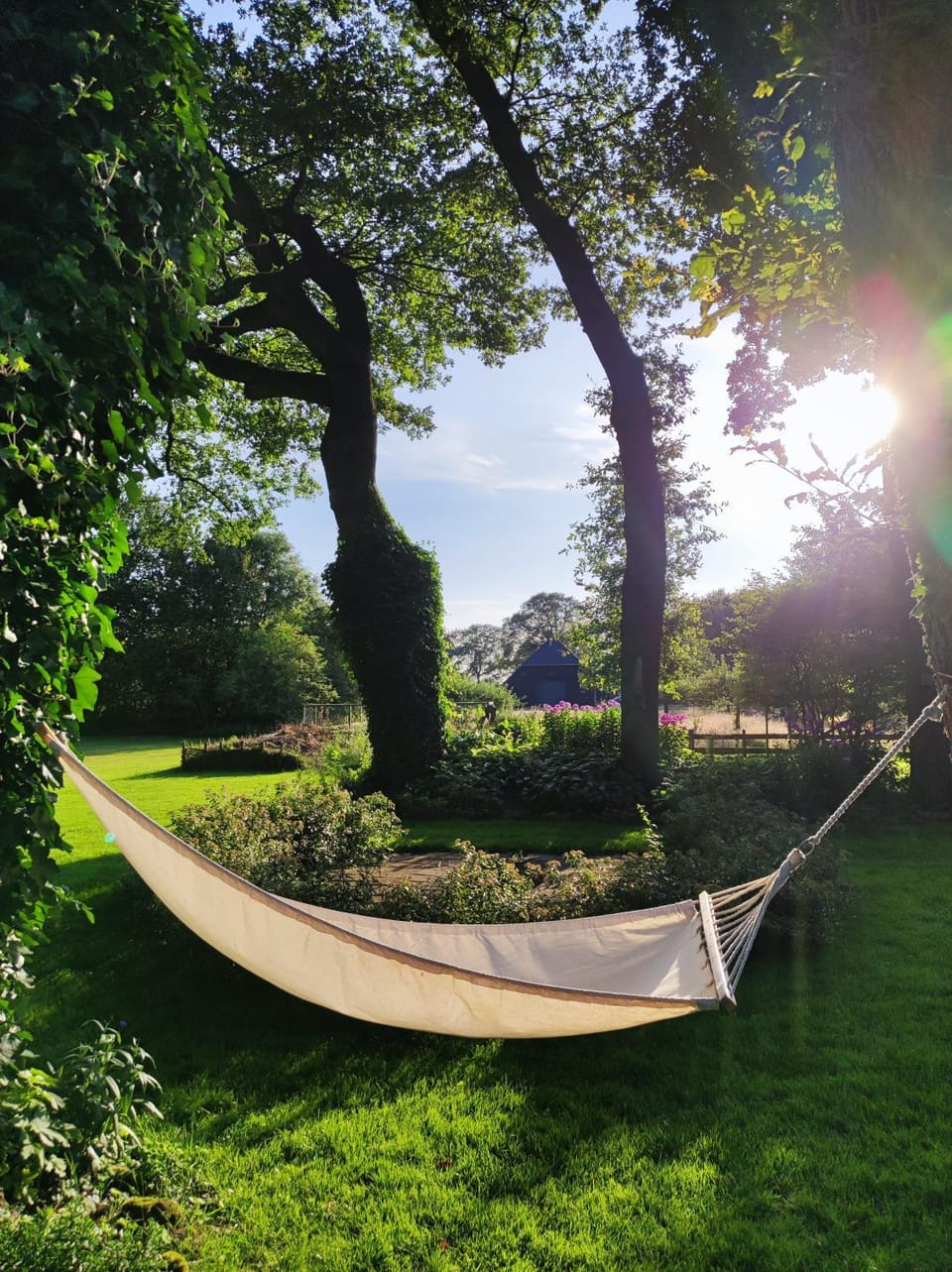 B&B de Wisperhof Bed and Breakfast in Drenthe (province)