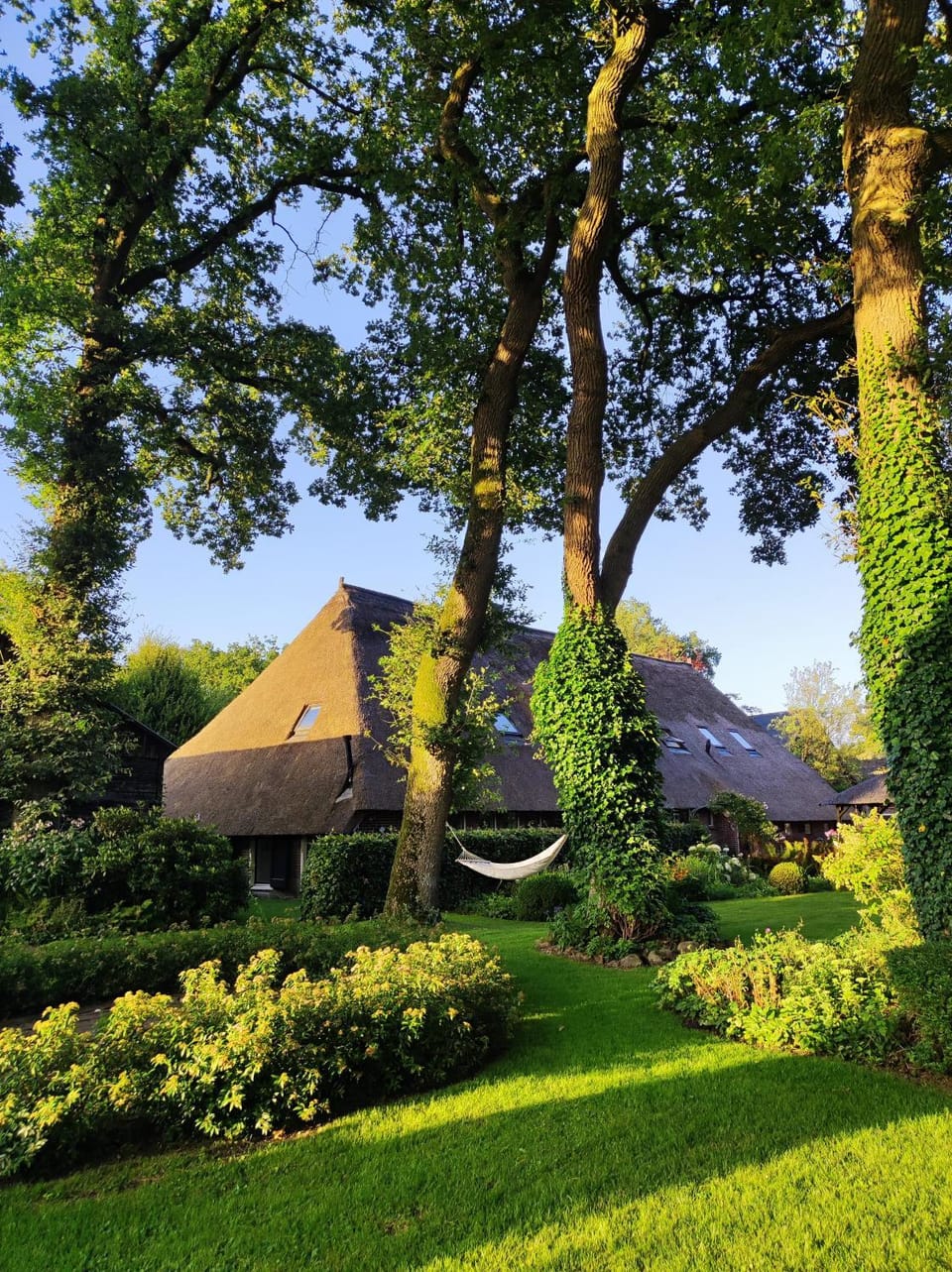 B&B de Wisperhof Bed and Breakfast in Drenthe (province)