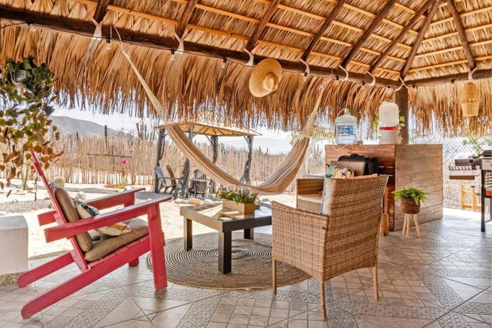 Patio, Day, Library, Library, Living room, Seating area, Dining area, sunbed