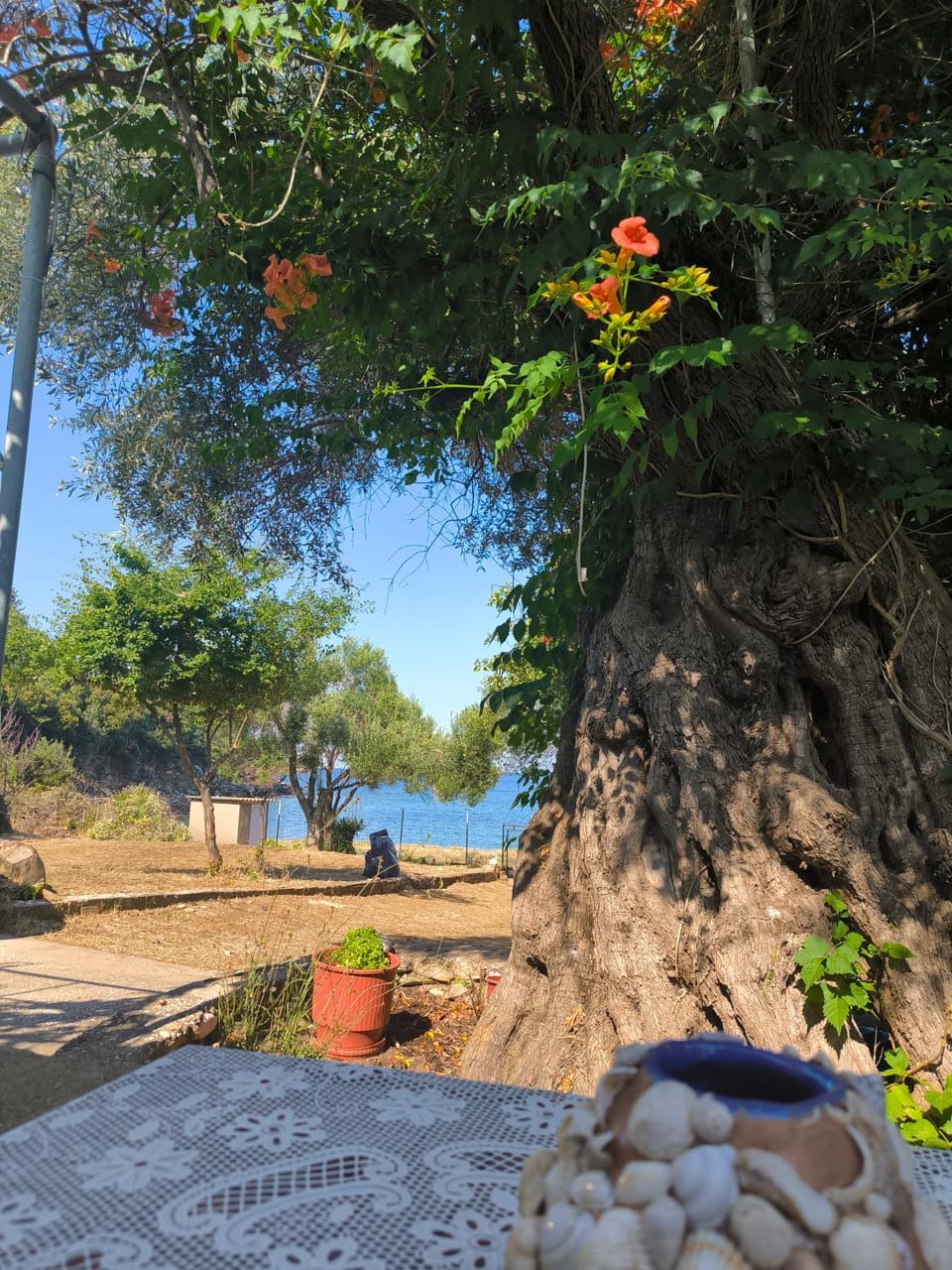 Sea view