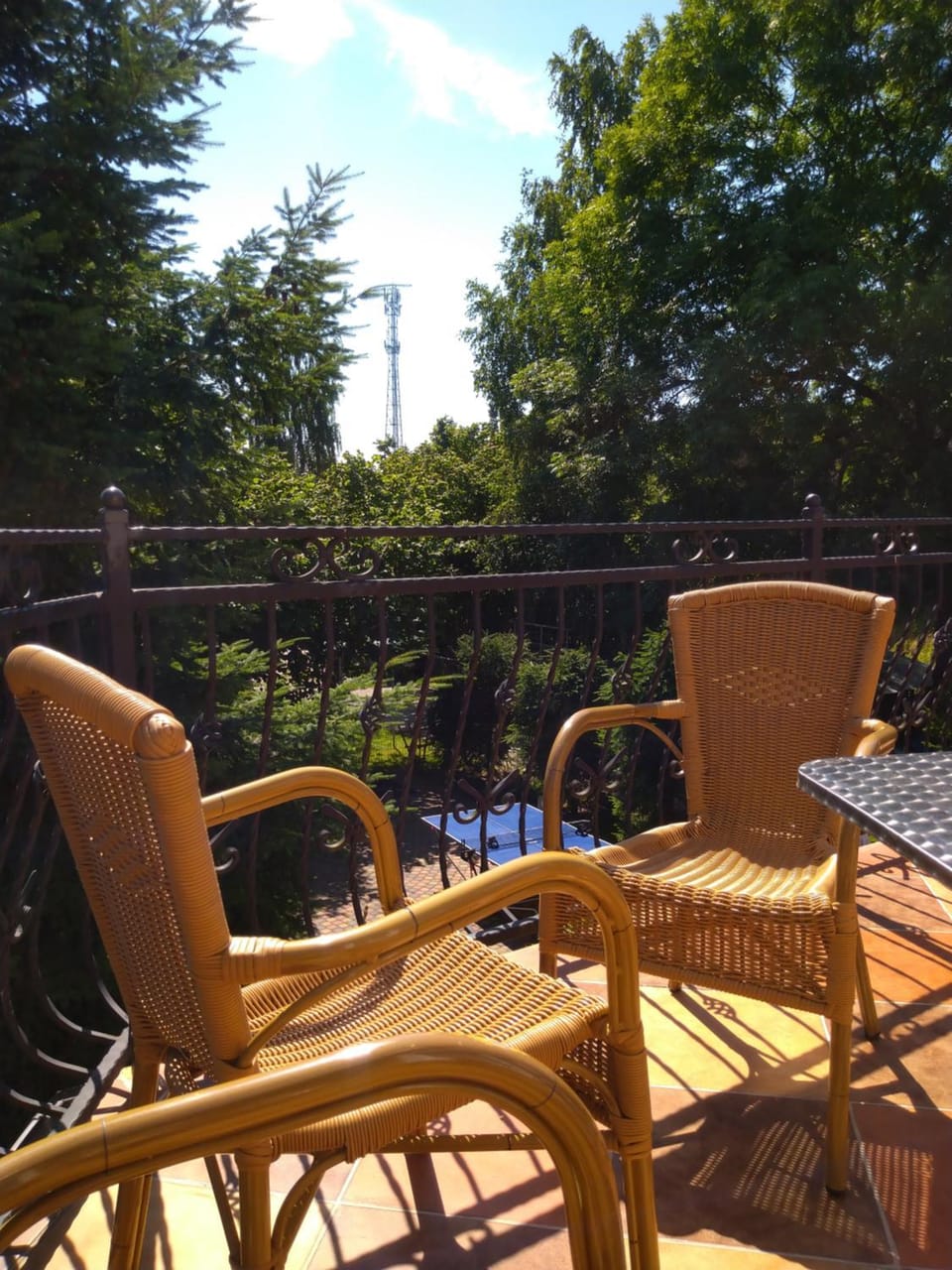 Patio, Garden, Balcony/Terrace, Seating area