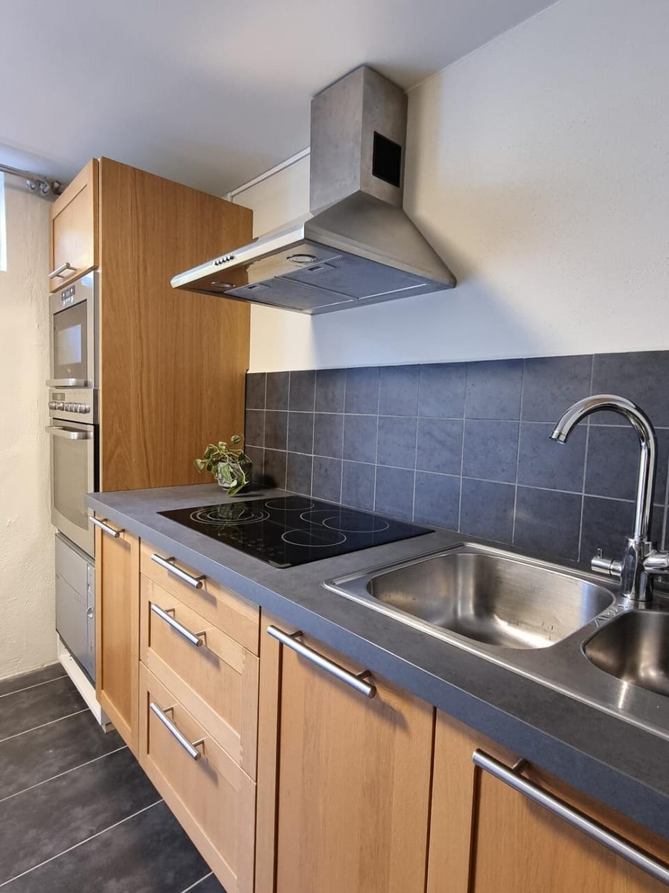 Kitchen or kitchenette, dishwasher, stove