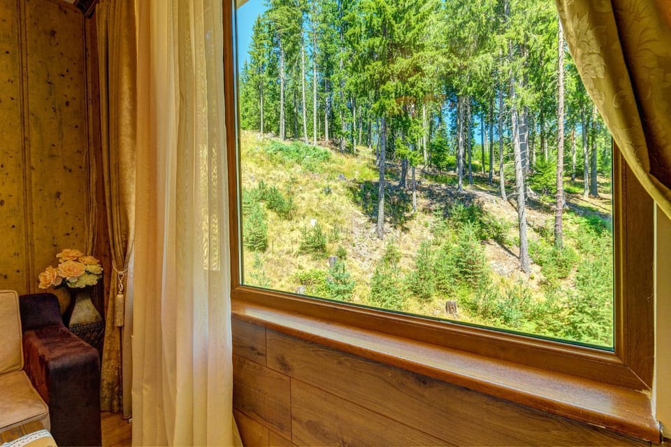 Апартамент Борчето Forest Glade- Pamporovo Apartment in Decentralized Administration of Macedonia and Thrace
