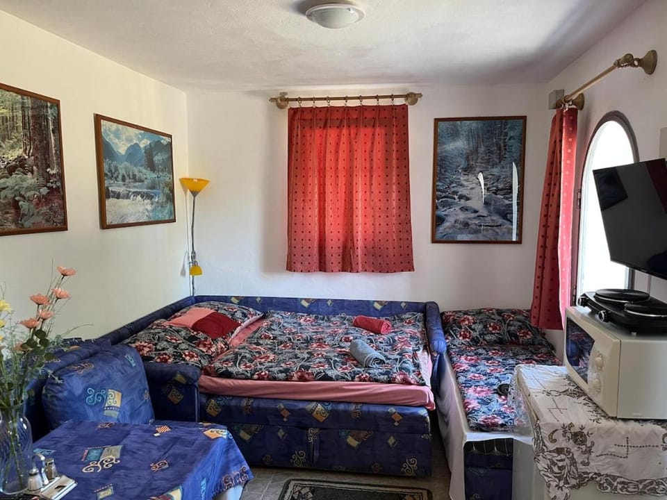 Communal lounge/ TV room, Bed, TV and multimedia, Photo of the whole room, Evening entertainment