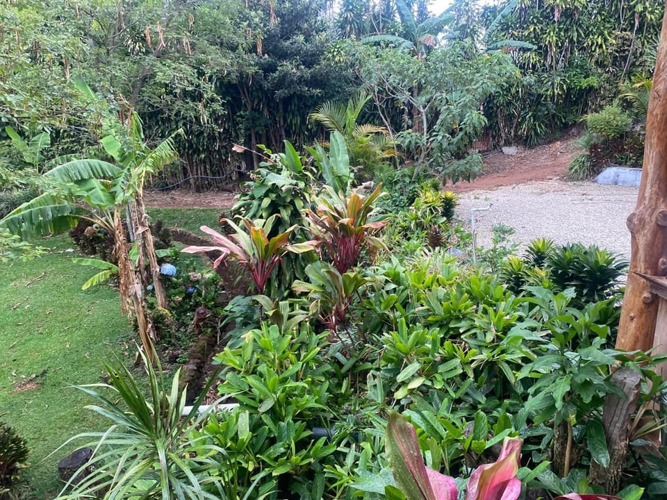 Ecos del Poás junto a la piscina Nature lodge in Alajuela Province