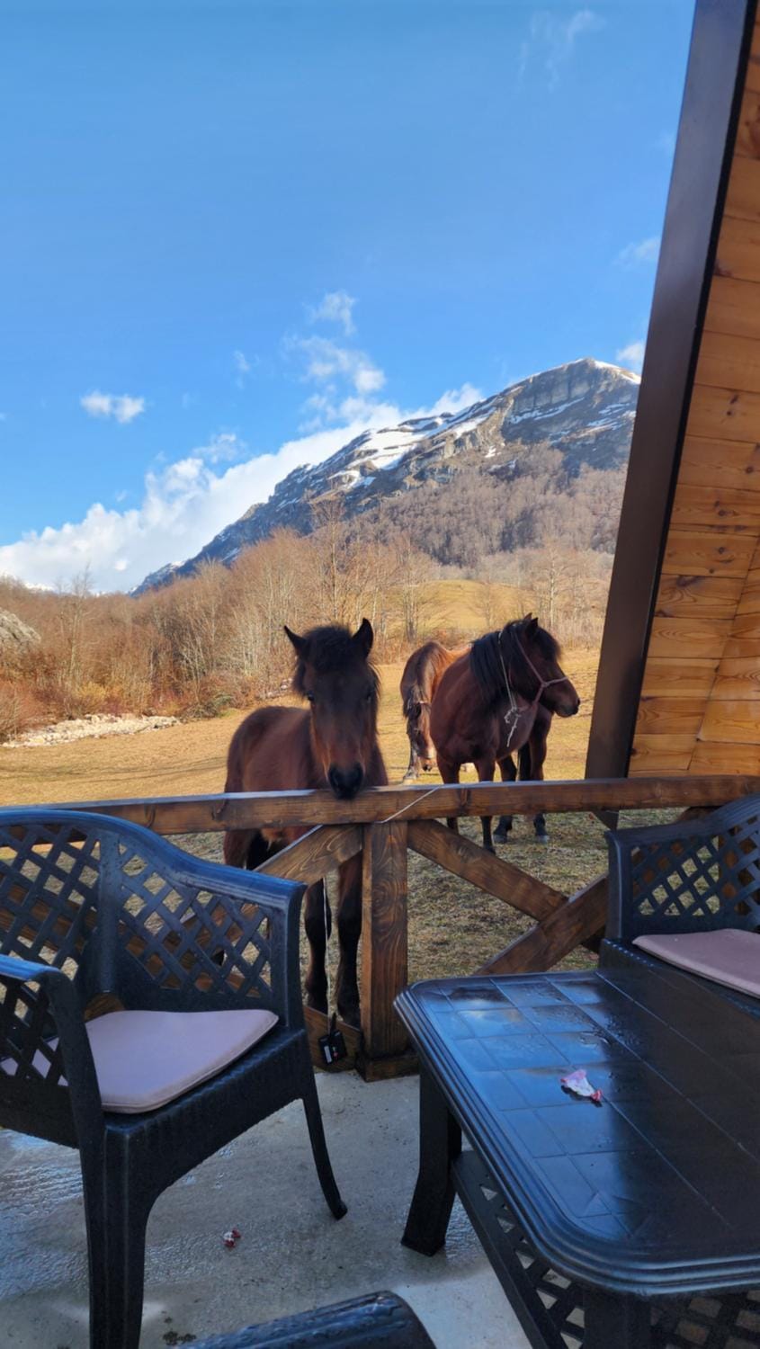 Natural landscape, Animals, Mountain view