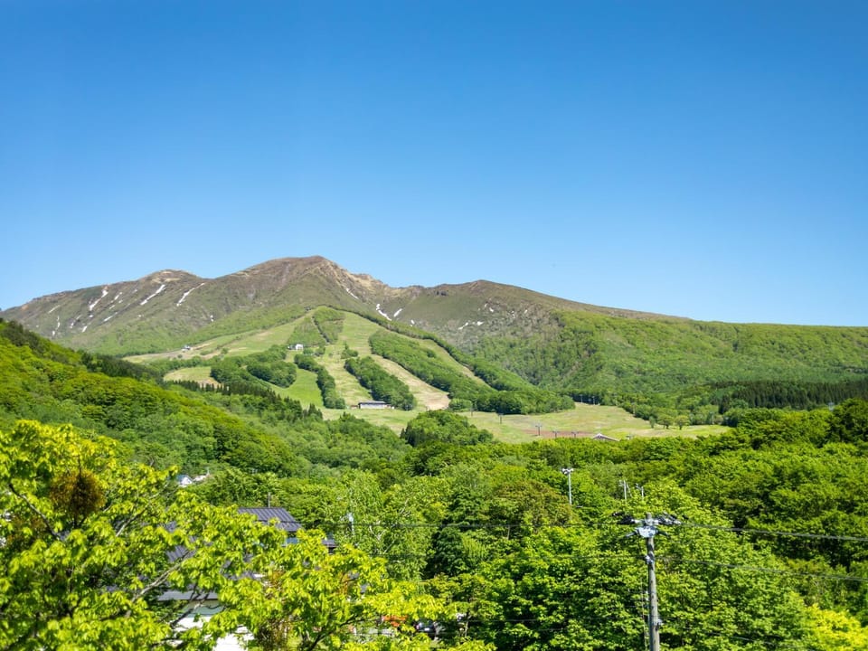 Mountain view