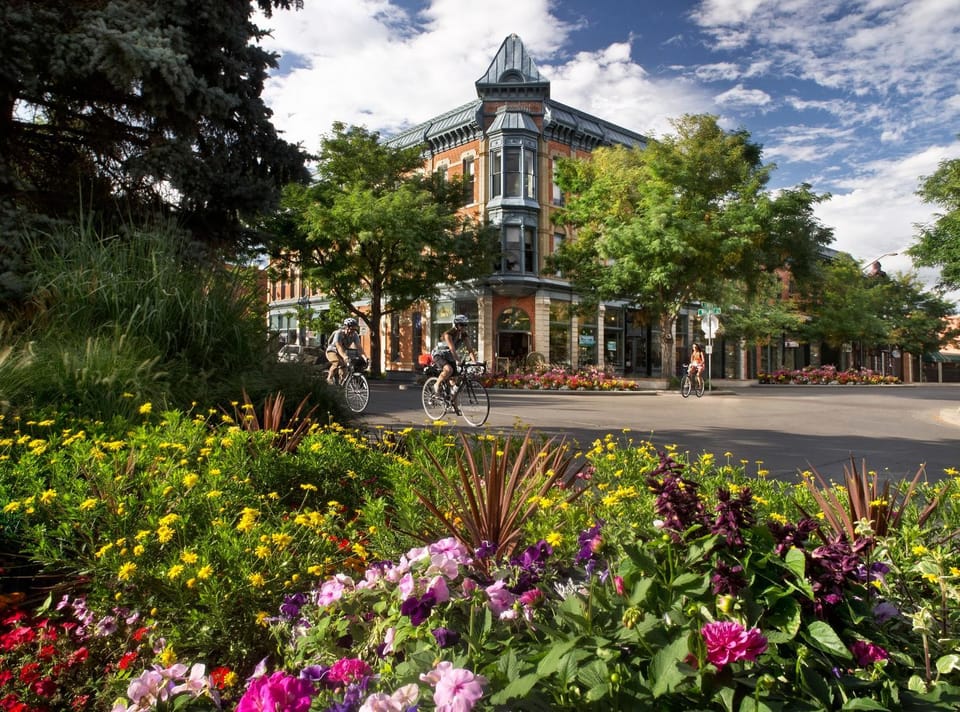 Mosaic Modern - Dog Friendly, Pool and King Suite House in Fort Collins