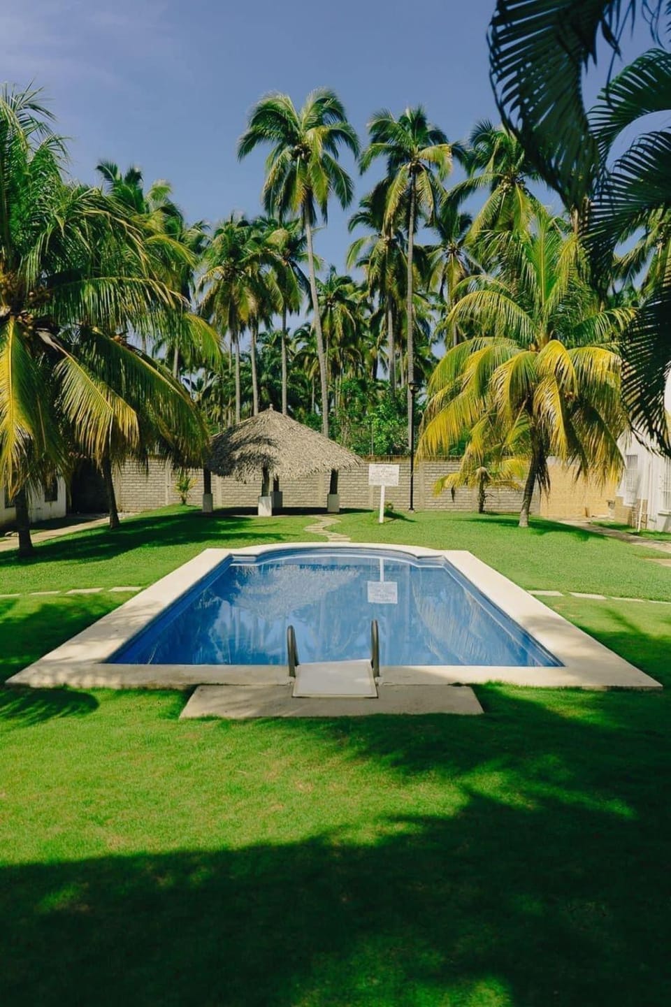 Day, Natural landscape, Garden, Garden view, Pool view, Swimming pool