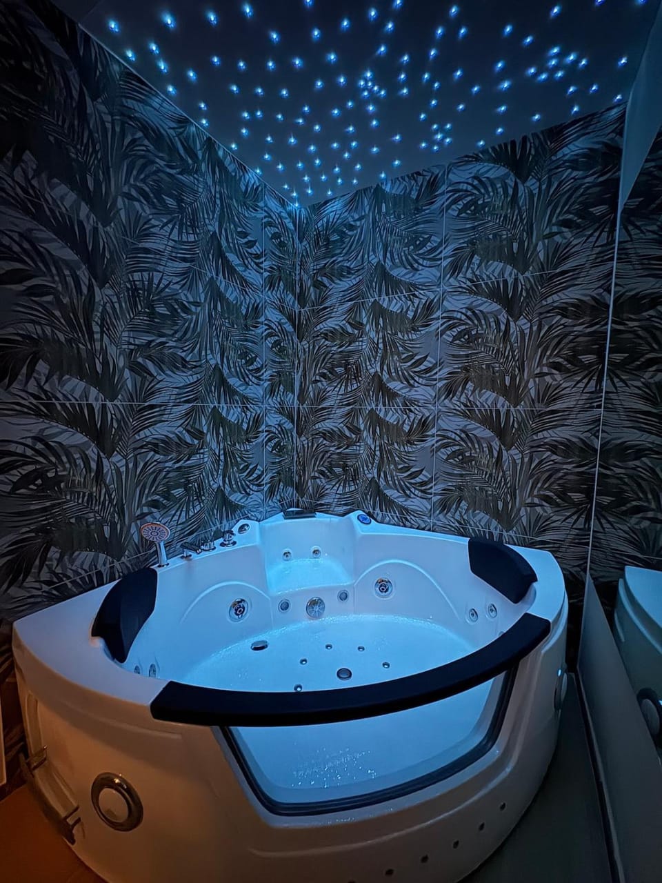 Gianvenuti House Rome - Metro A with Jacuzzi Apartment in Rome