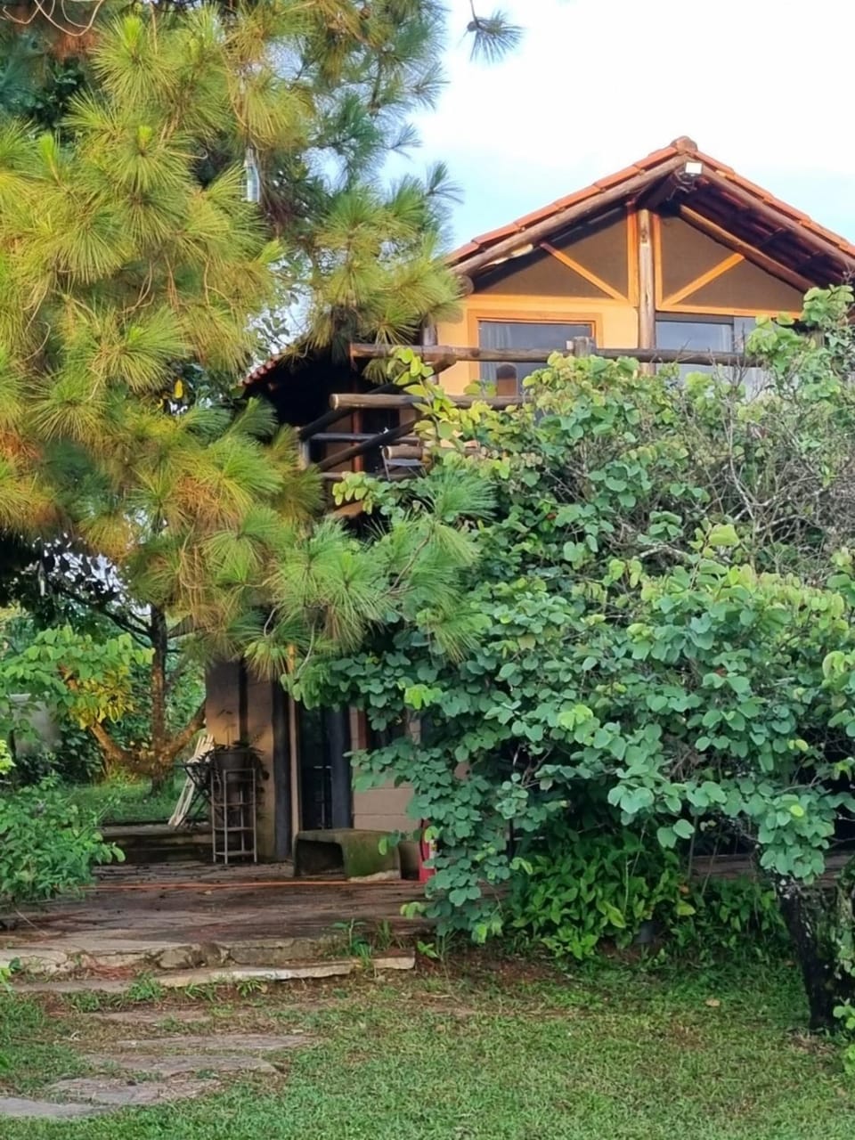Property building, Day, Garden view