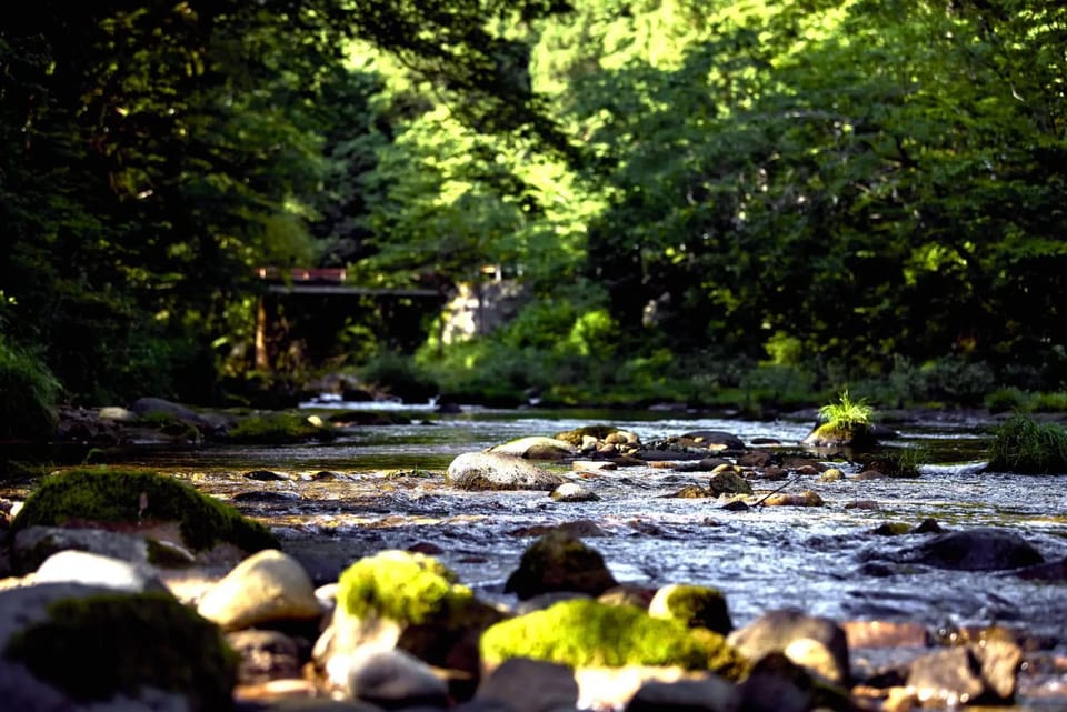 Natural landscape