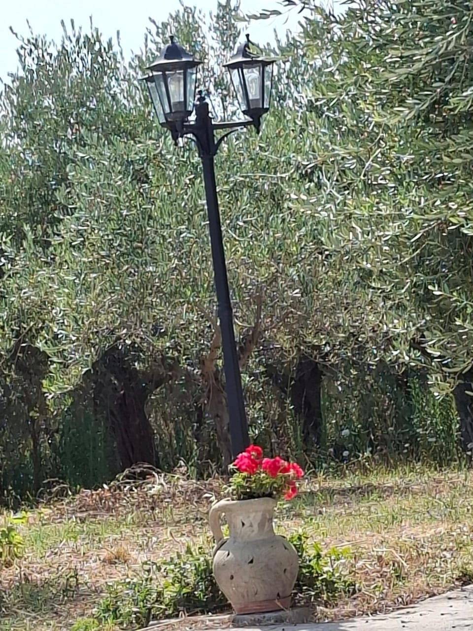Villa Annamaria Bed and Breakfast in Abruzzo