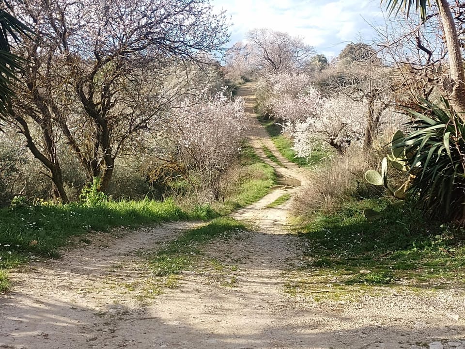 Villa Annamaria Bed and Breakfast in Abruzzo