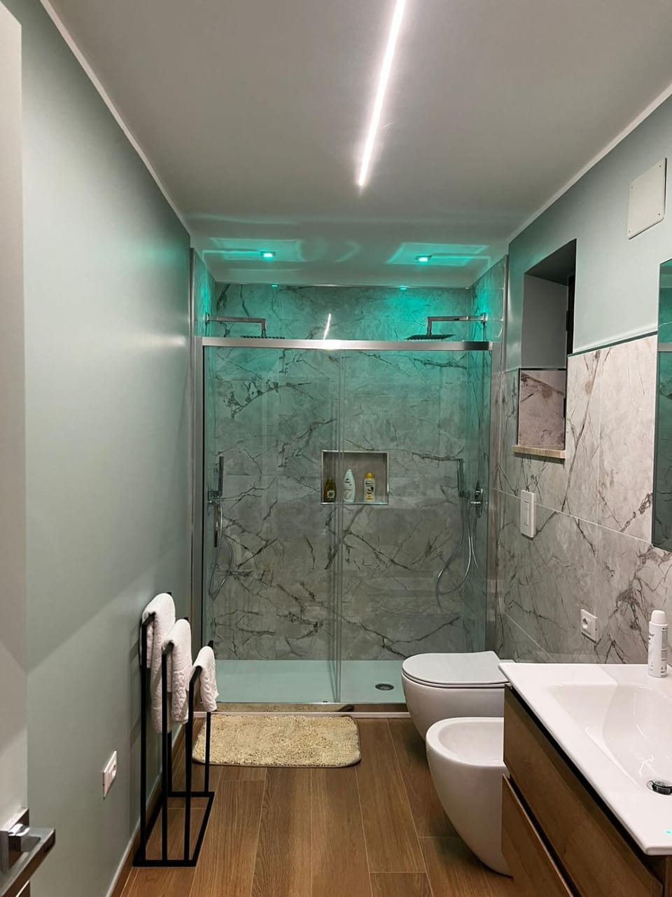Shower, Toilet, Bathroom, towels, Internal: Not applicable to any particular room