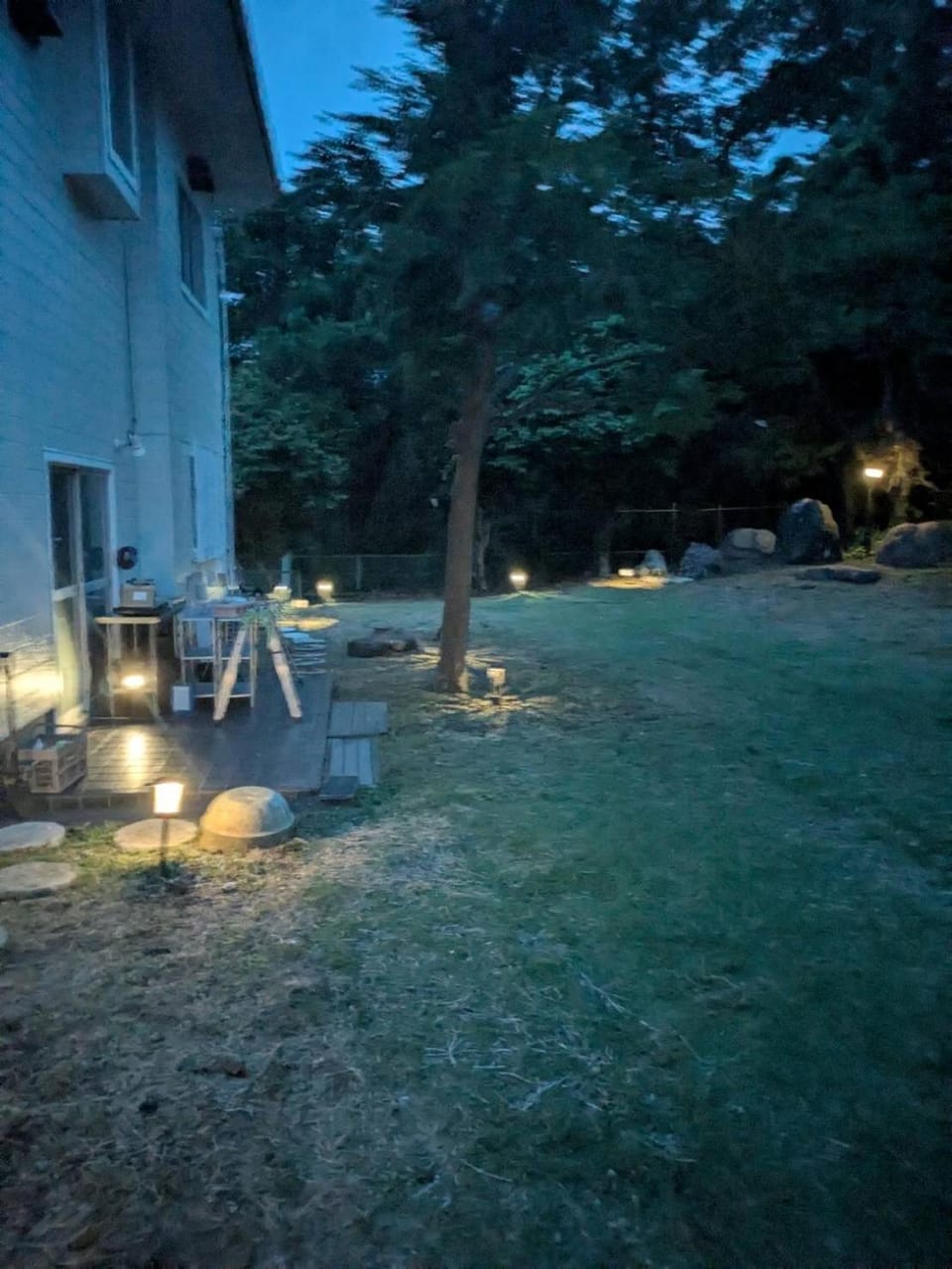 Night, Garden