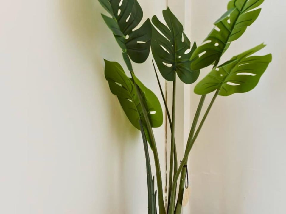 Decorative detail, Decorative detail