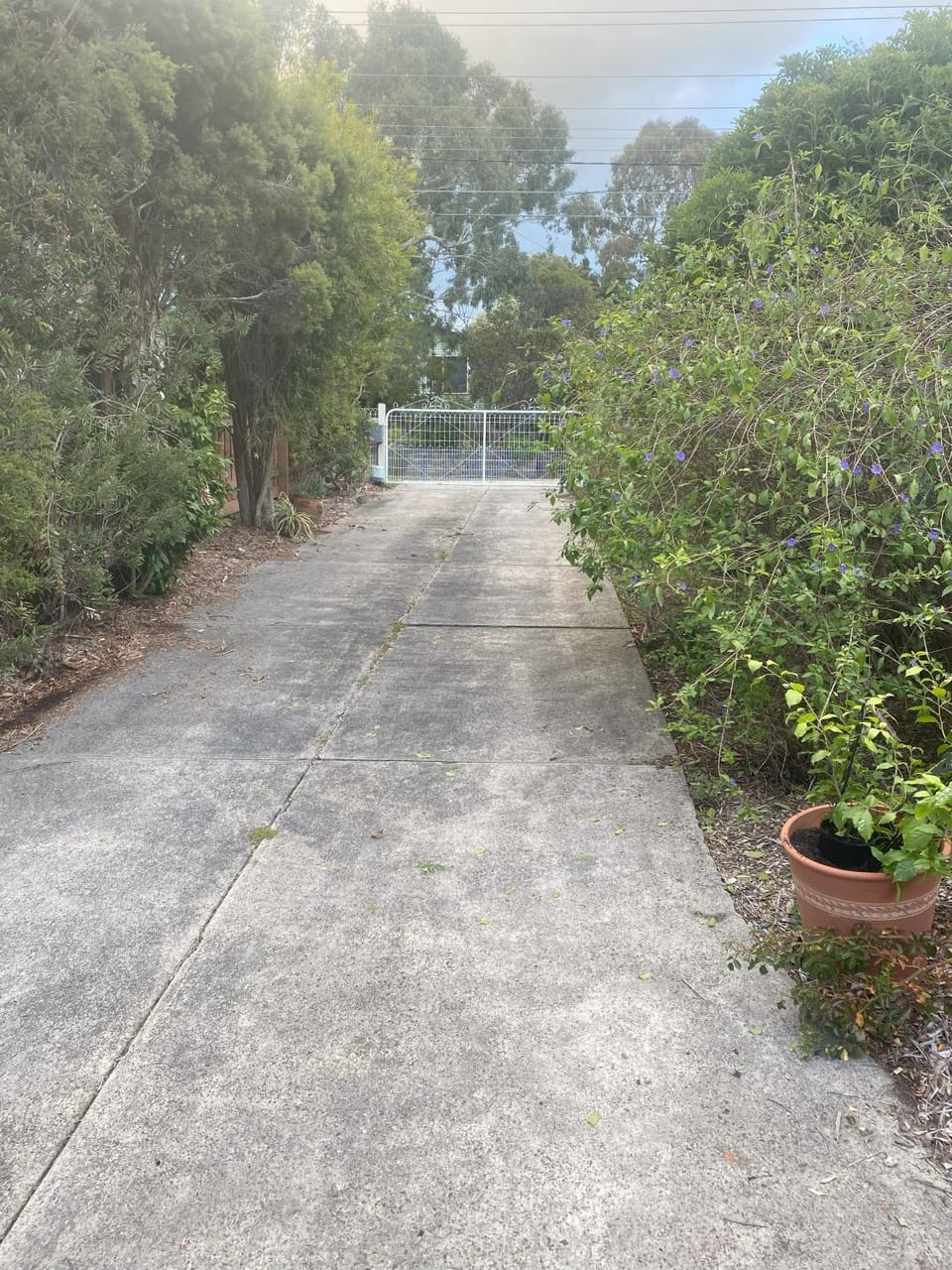 Natural landscape, Garden