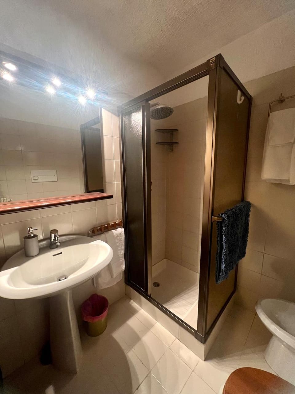 Shower, Toilet, Bathroom