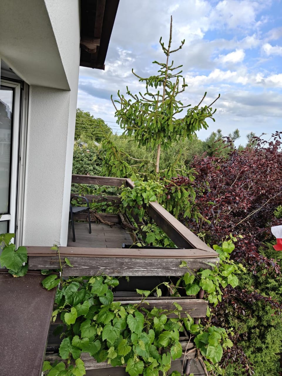 Relaks XXL Apartment in Pomeranian Voivodeship