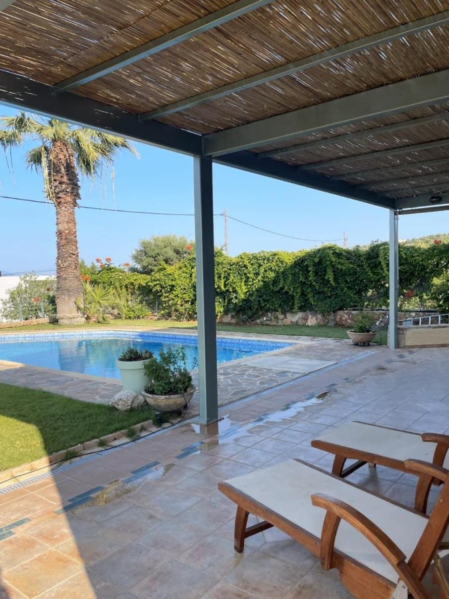 Patio, Day, Garden, Garden view, Pool view, Swimming pool, sunbed