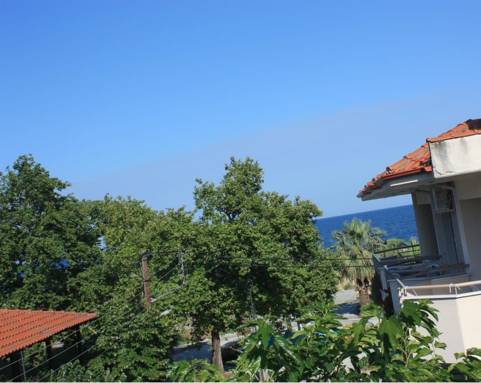 View (from property/room), View (from property/room)