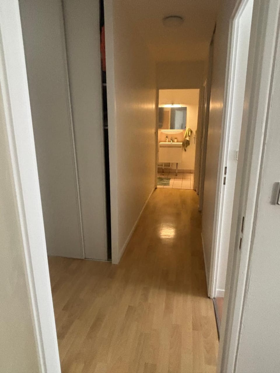 Bel appart 3 ch Apartment in Tours