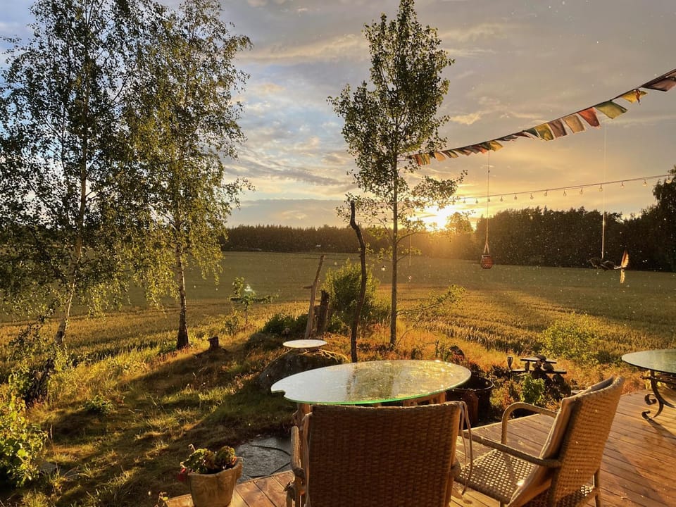 Natural landscape, Garden view, Sunset