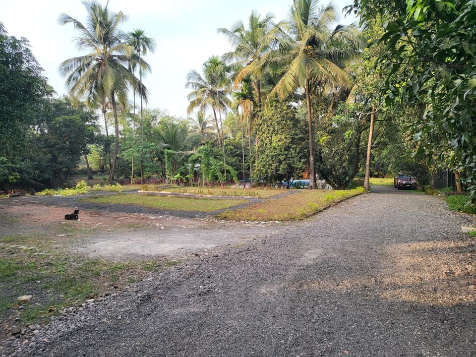 Natural landscape, Garden view