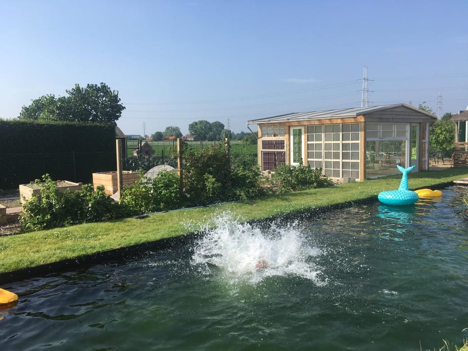 Pool view, Swimming pool