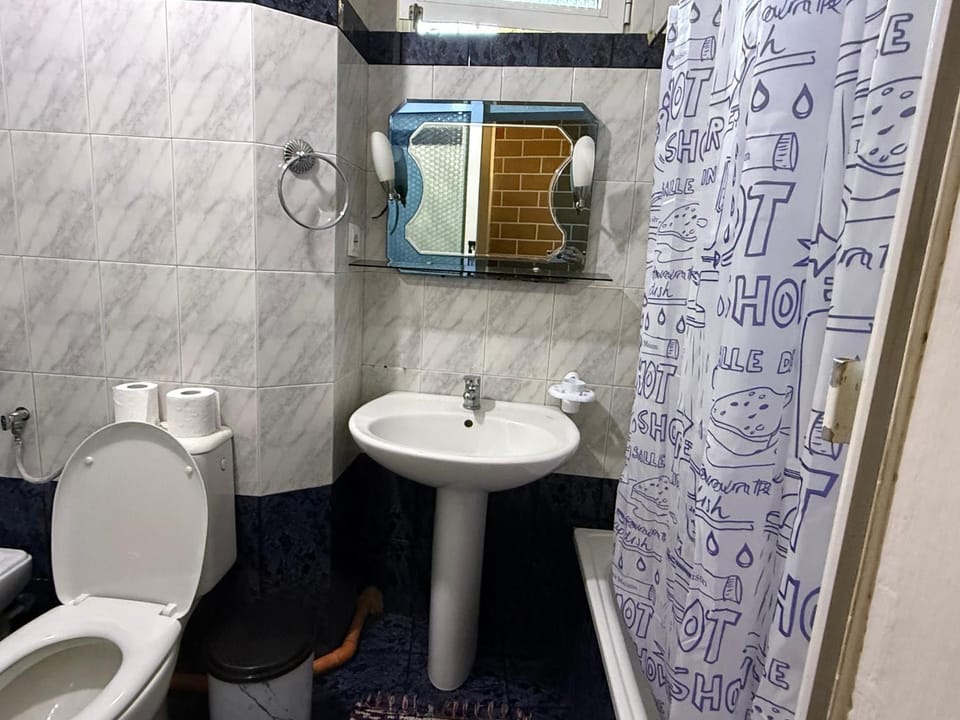 Shower, Toilet, Bathroom, bidet