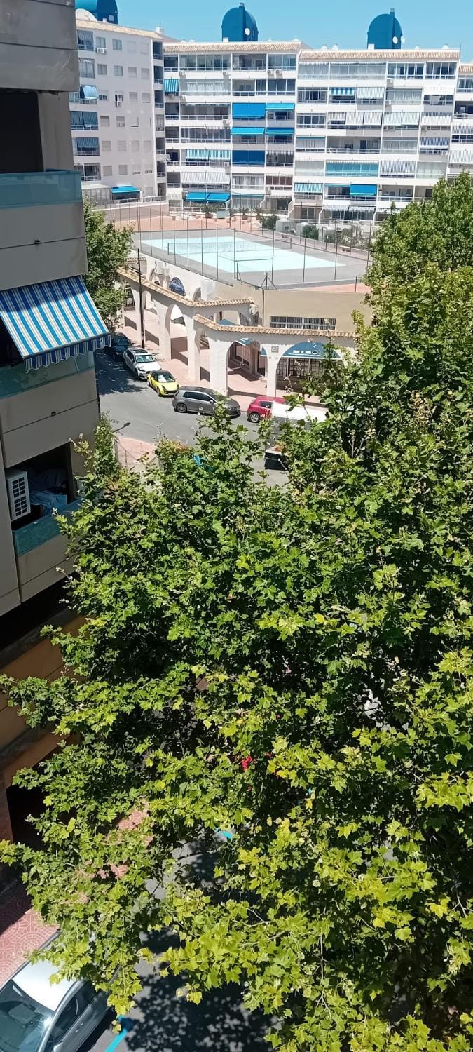 City view
