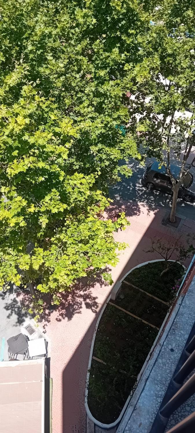 Balcony/Terrace, Garden view