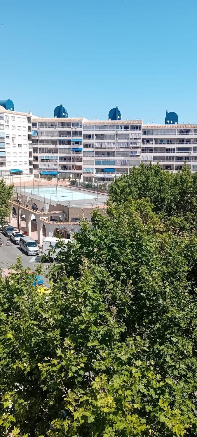 Property building, Day