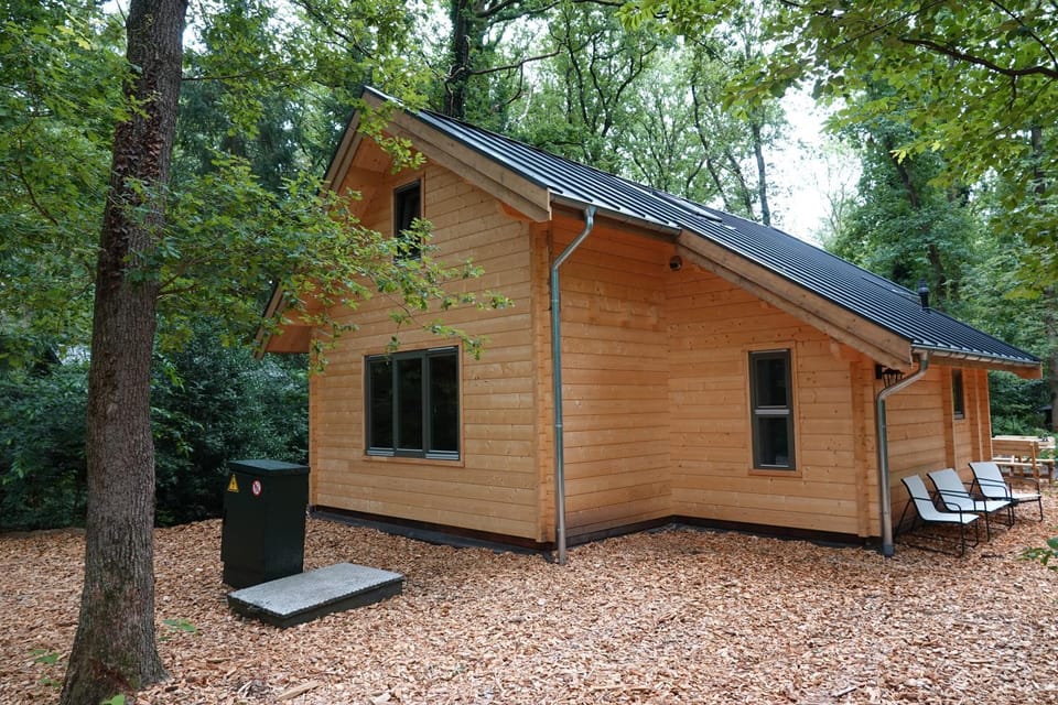 Property building, Day, Garden
